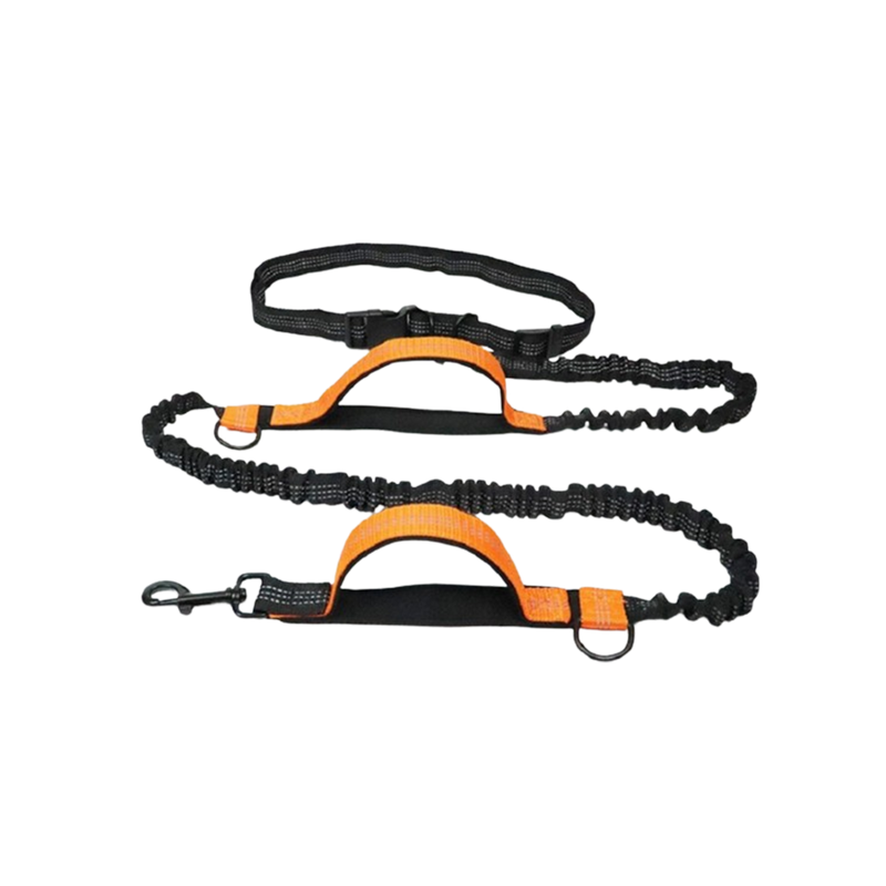 Pet Traction Rope