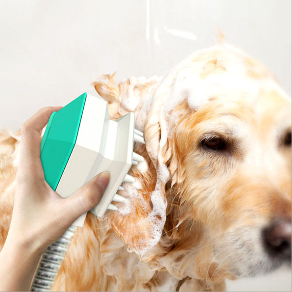 Pet shower brush