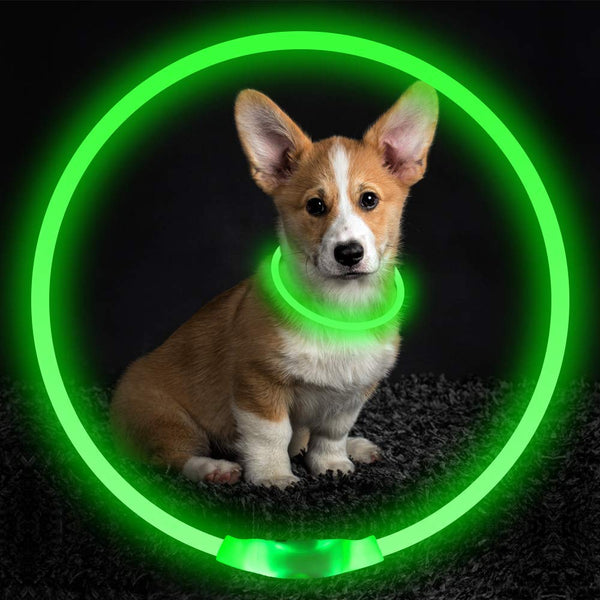 LED Glowing Collar For Pets